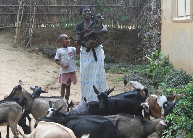 Village Enterprise in Uganda